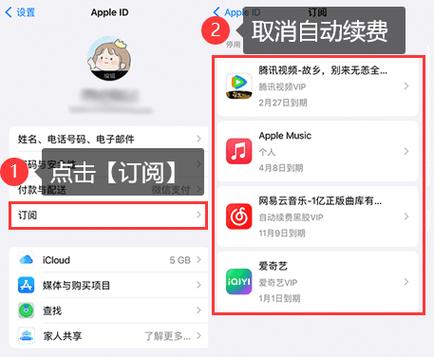 如何取消苹果手机软件自动续费