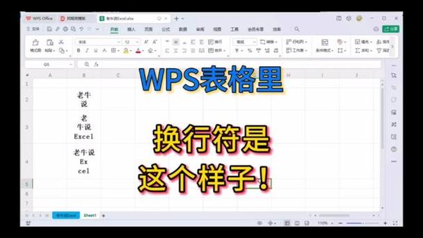 wps公式怎么打换行符