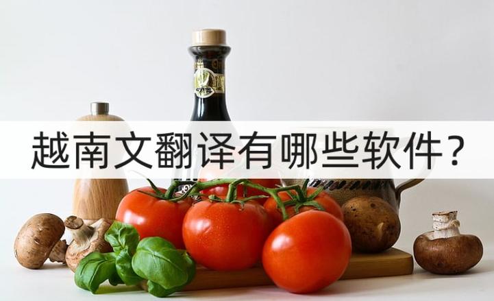 越南文翻译软件推荐