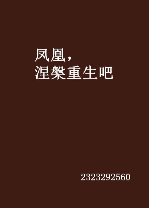 凤凰小说免费阅读网 凤凰小说免费阅读网