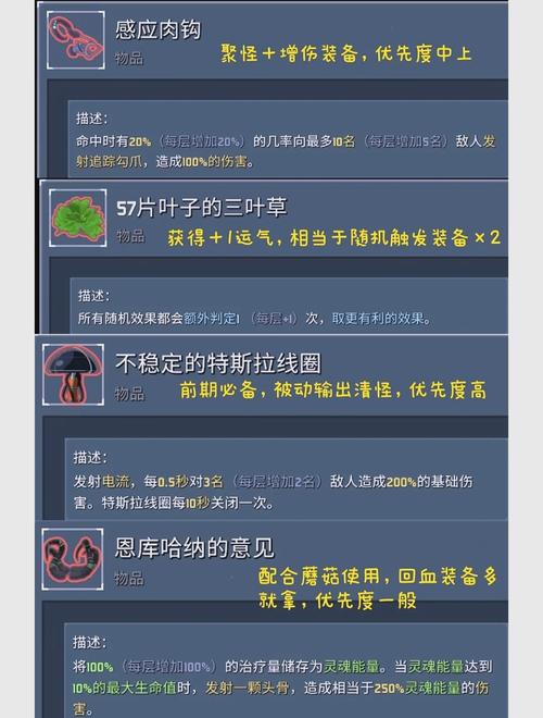 雨中冒险2混沌神器