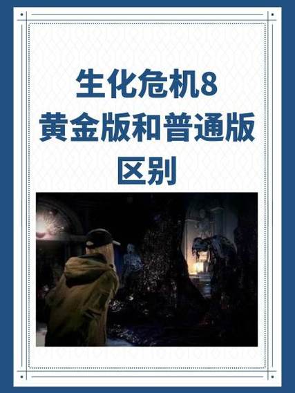 生化危机8 存档位置
