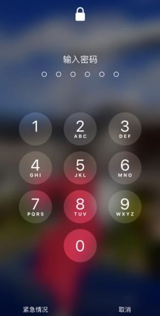 苹果密码界面截图3
