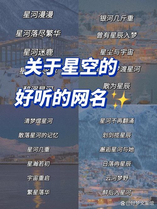 想和星星遨游情侣网名