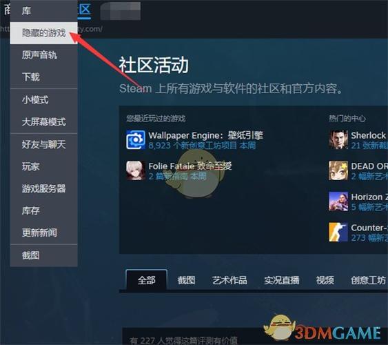 steam隐藏游戏在哪里打开