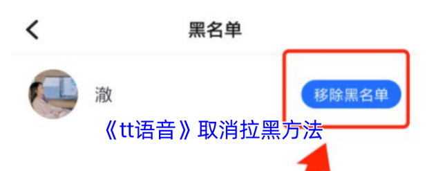 tt语音踢人怎么在拉回来