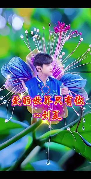 我的世界只有你一个是什么歌
