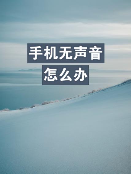 手机突然外放没有声音截图2