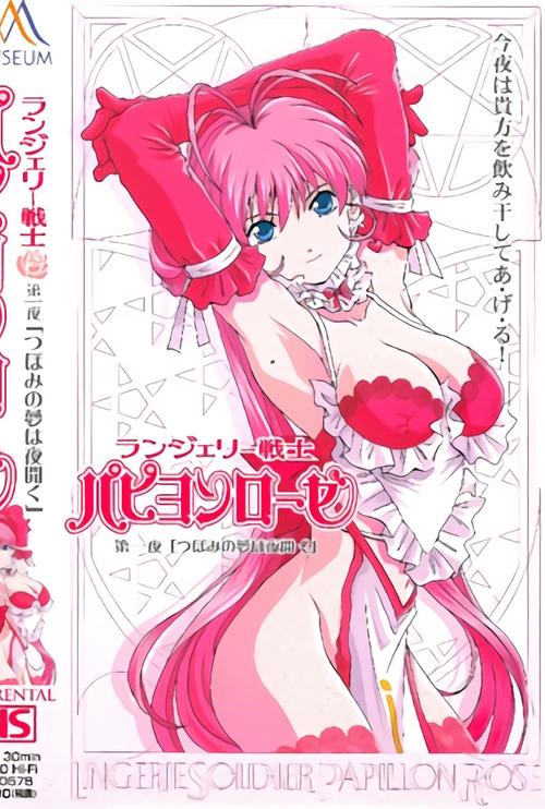 《魔法少女内衣战士》动漫
