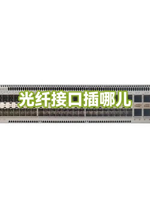 光纤是插在哪儿的