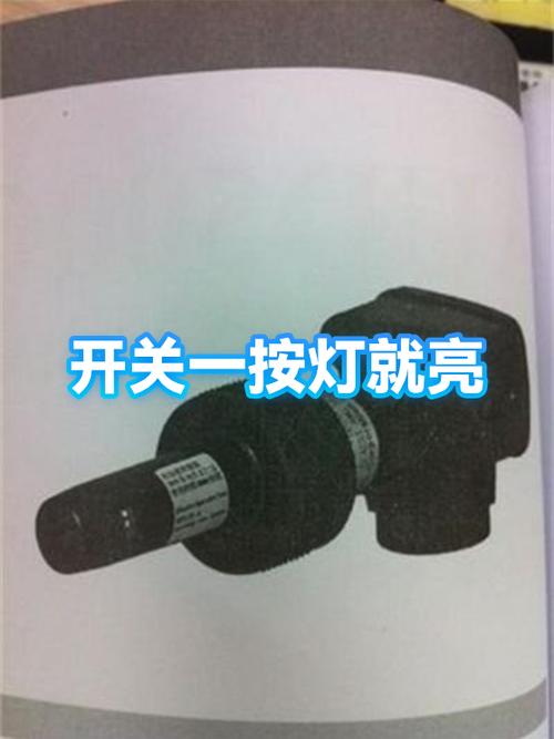 一按开关灯亮了一下就不亮了