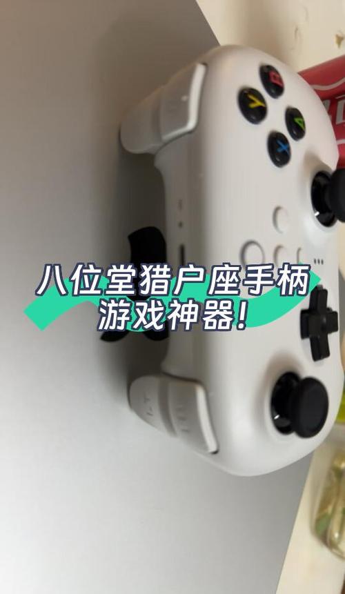 八位堂可以多个手柄吗截图3