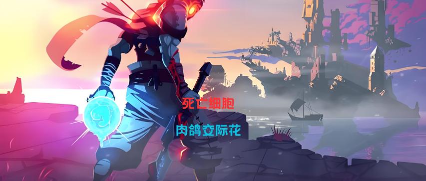死亡细胞叫什么