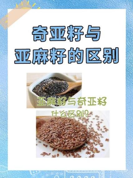 奇亚籽的功效与作用及禁忌症