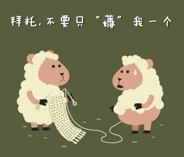 捋羊毛和薅羊毛 捋羊毛和薅羊毛