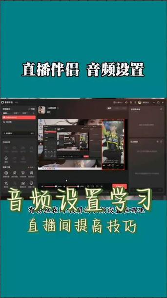 直播伴侣音频怎么设置