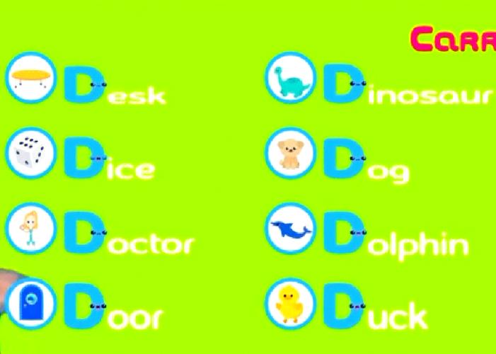 dD视频