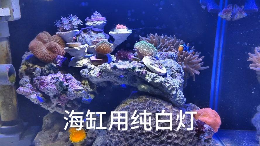 蓝牙耳机充满了还是白灯