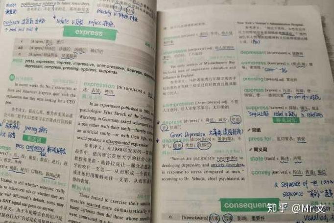 恋恋有词18版视频