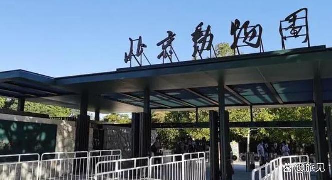 北京动物园能当天买票吗
