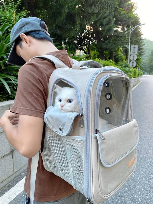 完美世界2宠物背包已满