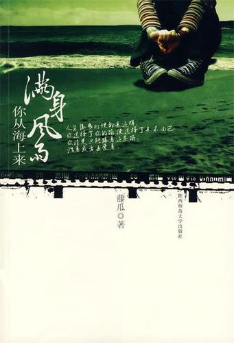 风雨来小说