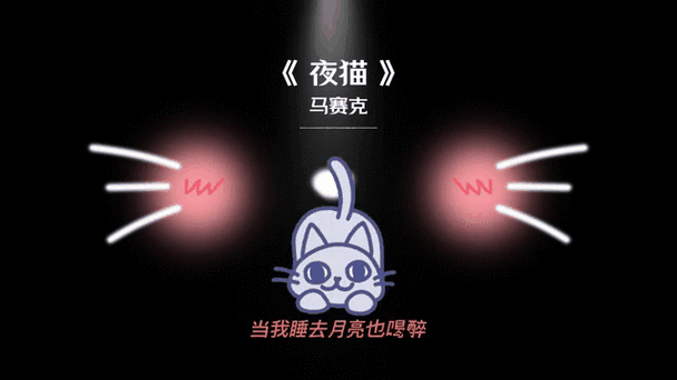 夜猫这首歌是什么时候的