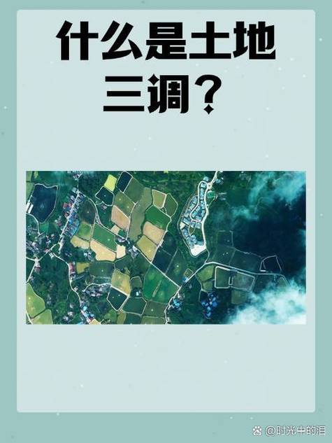 国土三调流程时间