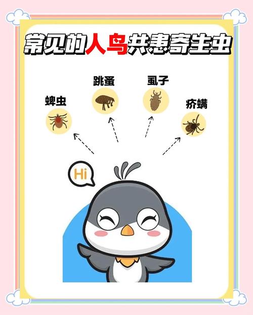 老滚5寄生虫任务截图3