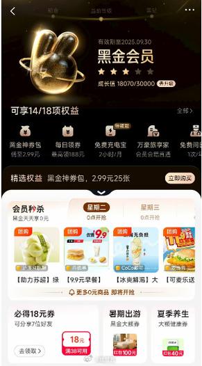 美团黑金会员多少钱