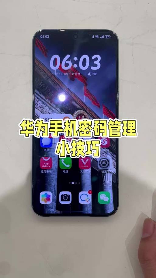 两种密码两个界面