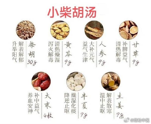 黄芩黄连半夏干姜人参的作用