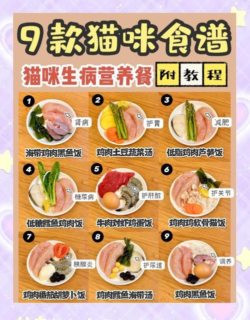 狂妄猫娘快堕菜单安卓