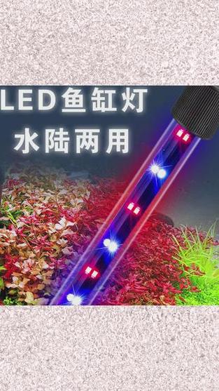鱼缸灯老是自动亮