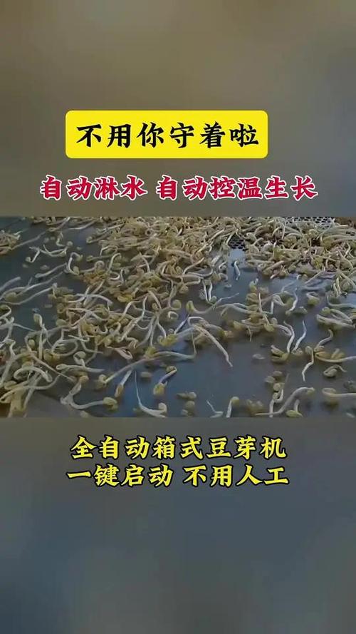 生豆芽机使用方法视频截图3