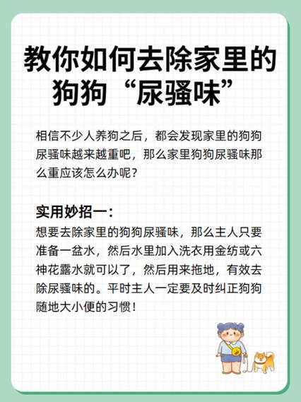 狗狗有味道怎么消除