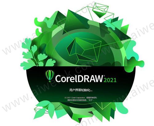 CDR2021免安装版