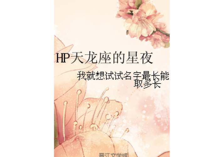 HP天龙座的星夜