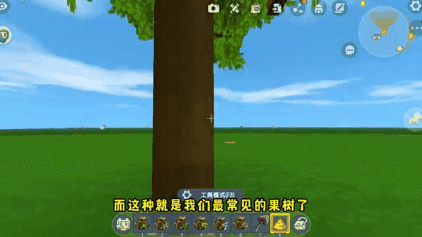 迷你世界中落叶松树苗怎么种