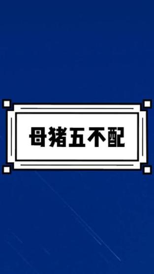三不配原则母猪