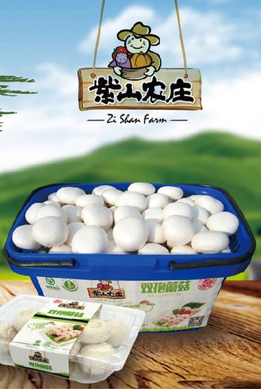 蘑菇盒子多少钱