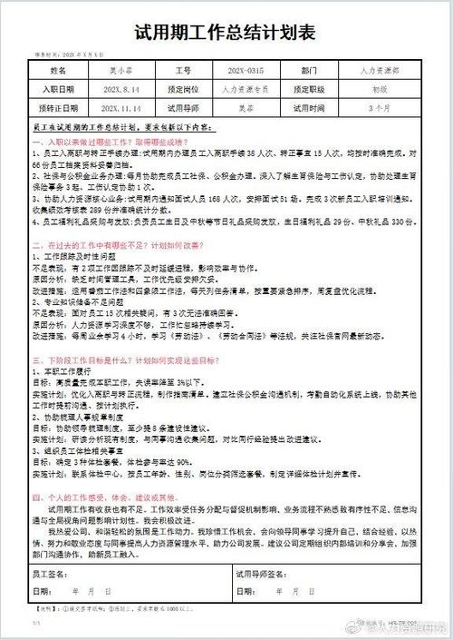 转正总结简短