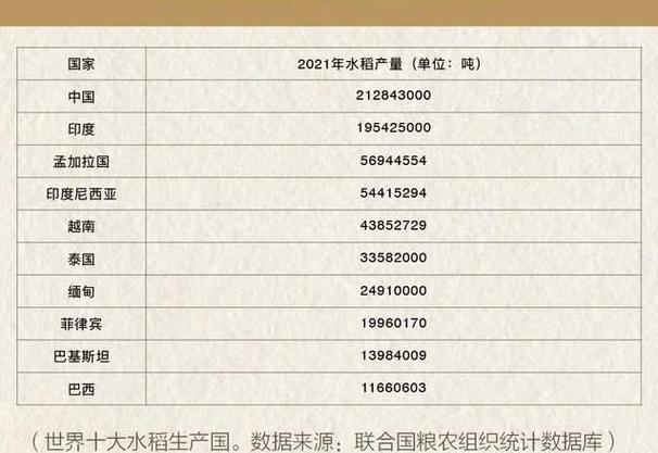 龙之崛起粮食产量