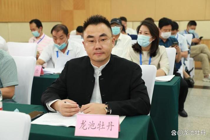 龙池牡丹香港上市进程