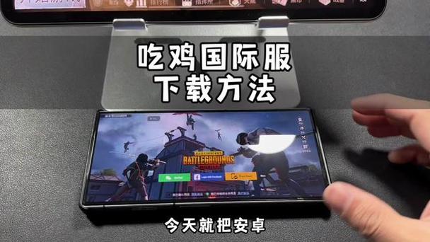 怎么下国际服吃鸡截图3