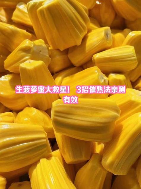扒开的菠萝蜜如何催熟
