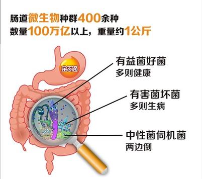 菌群交换对长相的影响