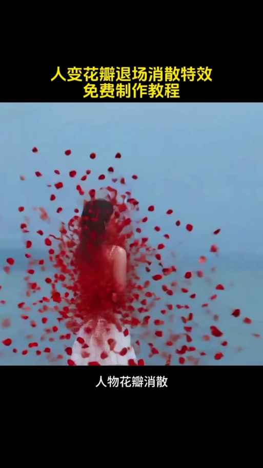 最近很火的控花特效在哪