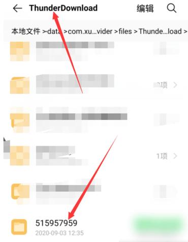 手机迅雷在线字幕文件位置