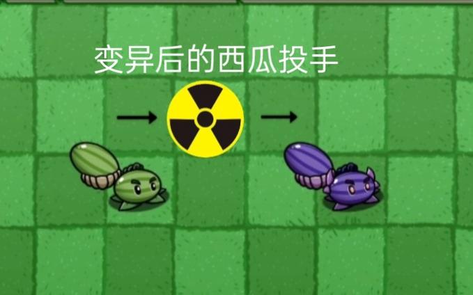 植物大战僵尸核污染